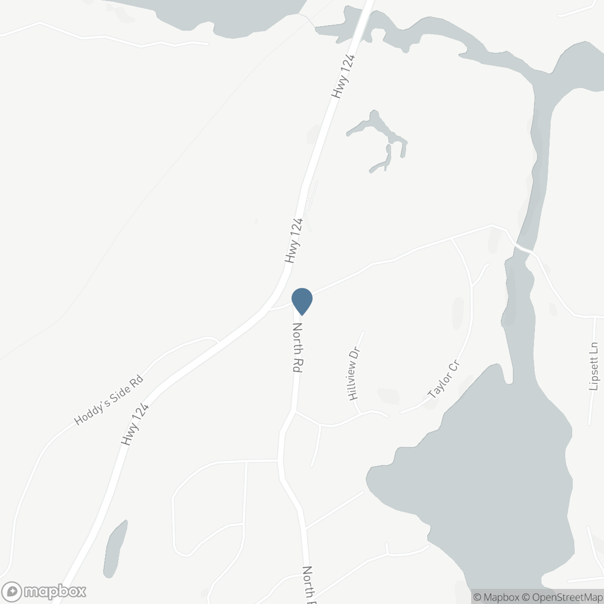 LOT 3 BURNSIDE BRIDGE ROAD, McDougall, Ontario P2A 2W9
